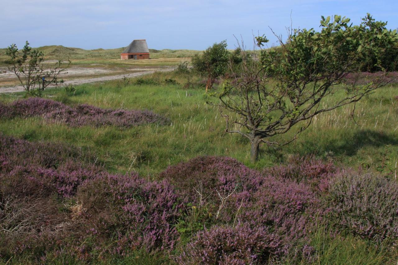 'T Lant Van Texsel De Koog (Texel) Exterior foto