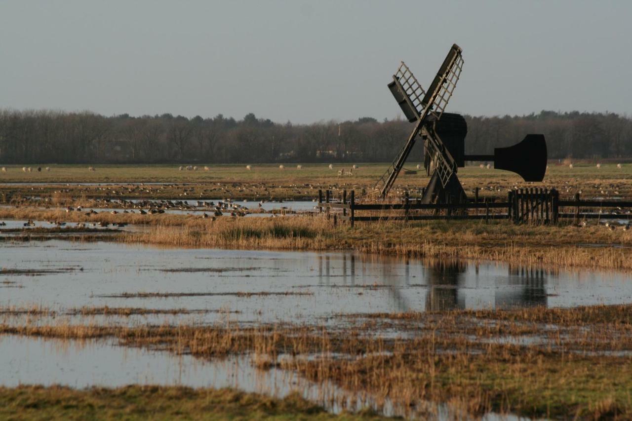 'T Lant Van Texsel De Koog (Texel) Exterior foto
